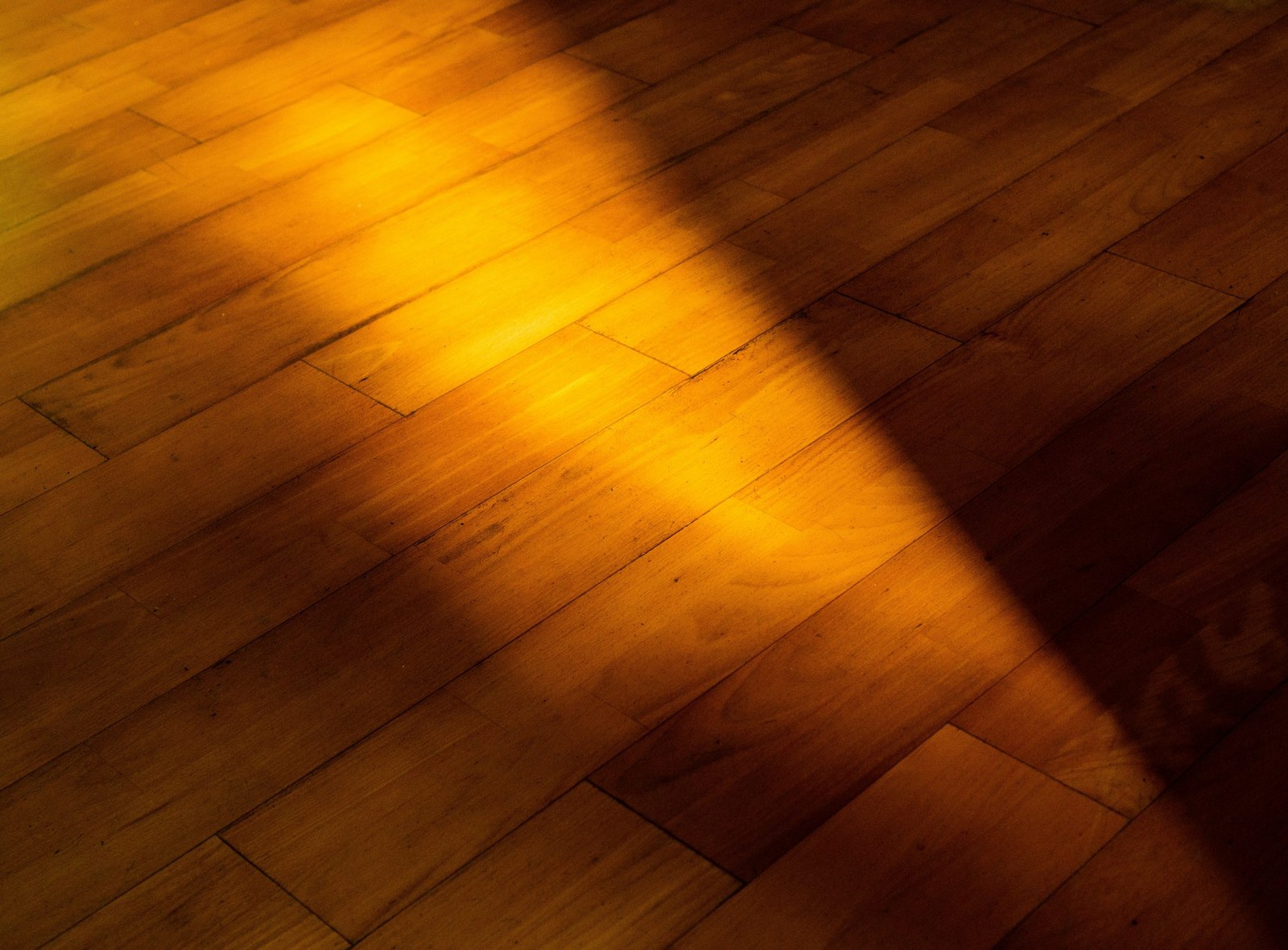 Sunlight falling across a warm hardwood floor